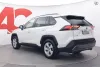 Toyota RAV4 2,5 Hybrid Active Edition - PLUS-PAKETTI / HELMIÄISVALKOINEN / TAKUU / MERKKIHUOLLETTU / TUTKAT / NAVI YMS Thumbnail 3